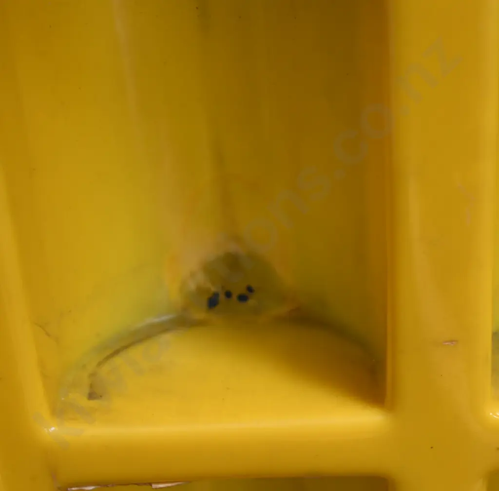BAR'S LEAKS PLASTIC DISPLAY CASE Image 1++