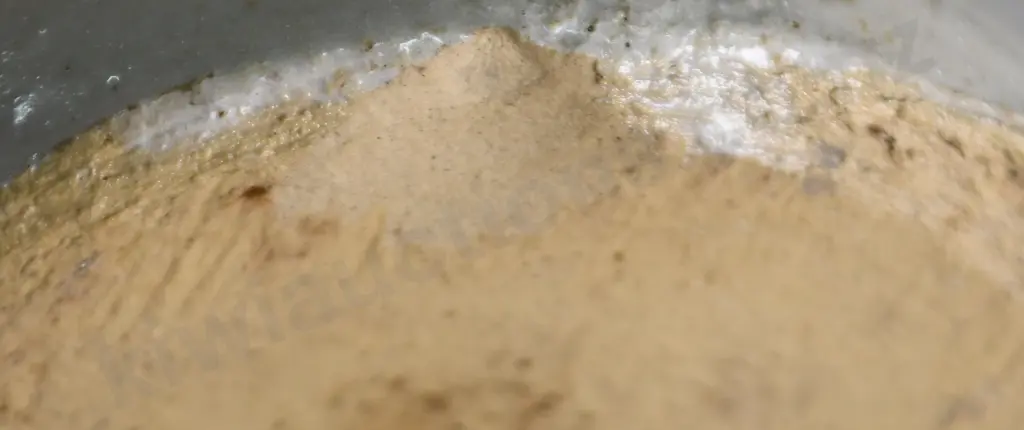 COOPER WELLINGTON GINGER BEER Image 1++