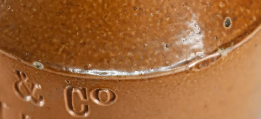 CURTIS LYTTELTON GINGER BEER Image 1++