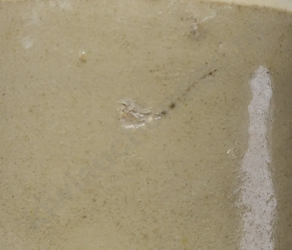 MOFFETT INVERCARGILL GINGER BEER Image 1++