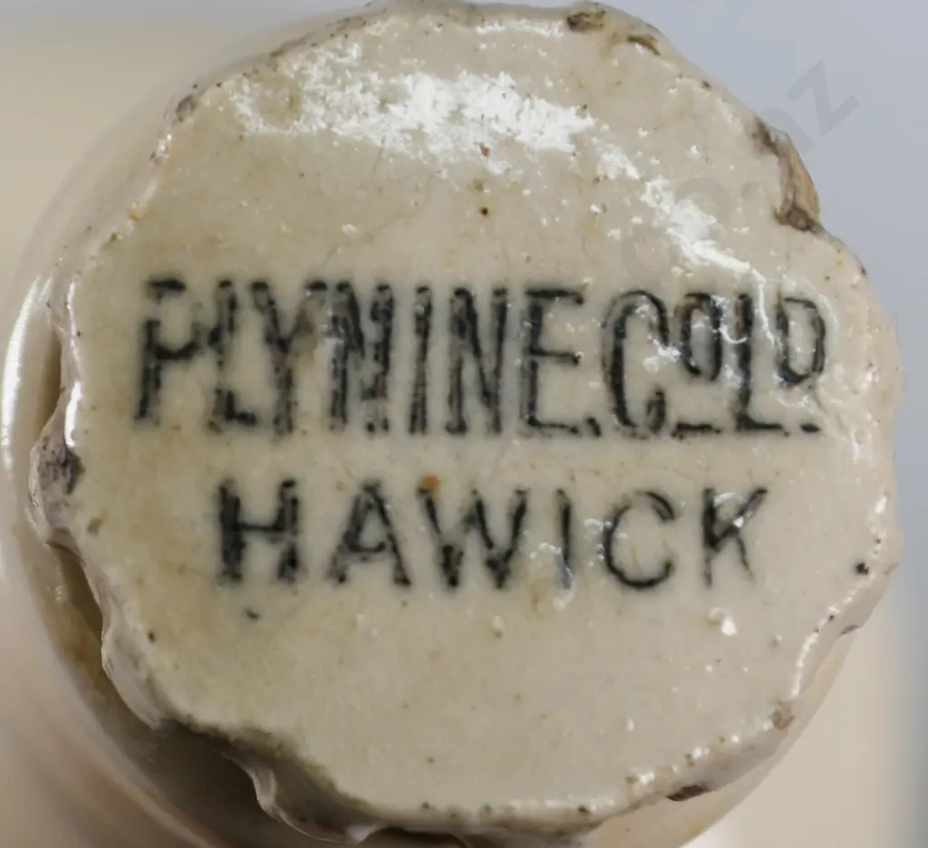 PLYNINE AMMONIA STONEWARE BOTTLES Image 1++