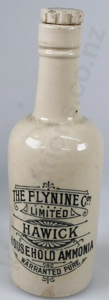 PLYNINE AMMONIA STONEWARE BOTTLES Image 1++