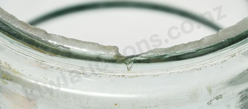 AMERICAN FRUIT JARS Image 1++