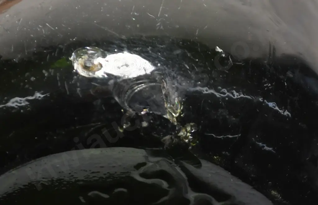 DIXON'S PALMERSTON NORTH INTERNAL THREADS Image 1++