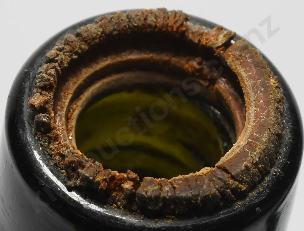 PHOENIX WELLINGTON PETONE INTERNAL THREADS Image 1++
