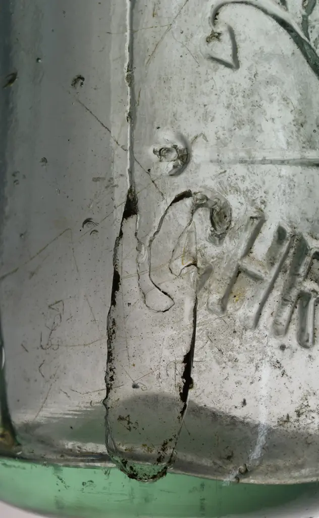 MACE CHRISTCHURCH HAMILTON AND CROWN TOP Image 1++