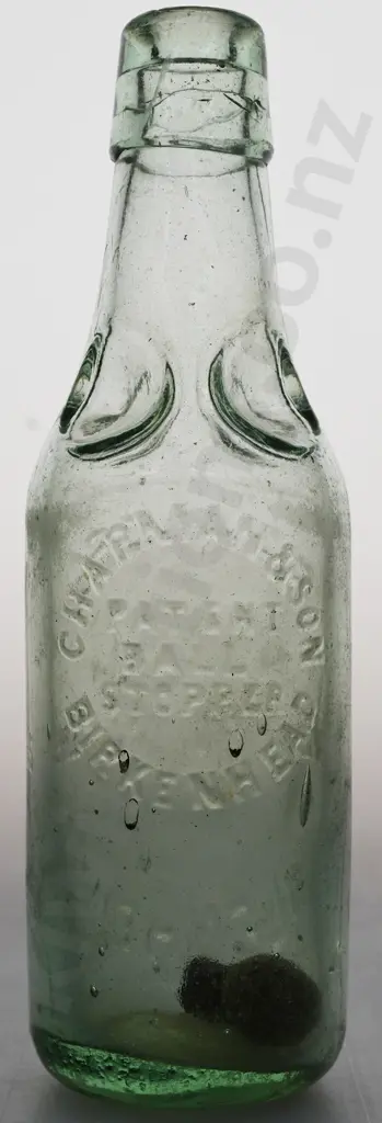 RAYNERS BLENHEIM CHAPMAN PATENT Image 1++