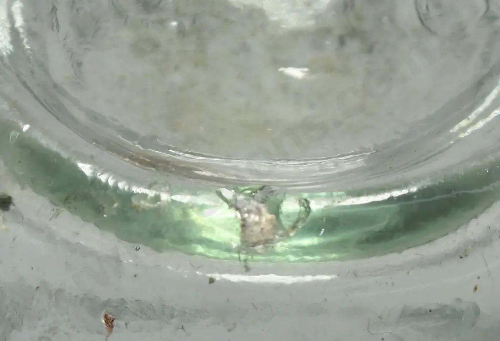 THOMSON INVERCARGILL BLOB TOP Image 1++