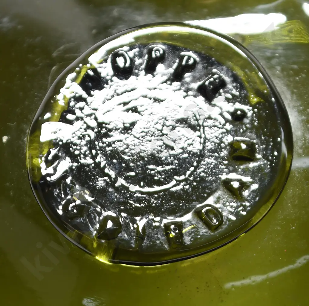 HOPPE SEALED CASE GIN WITH LABEL Image 1++