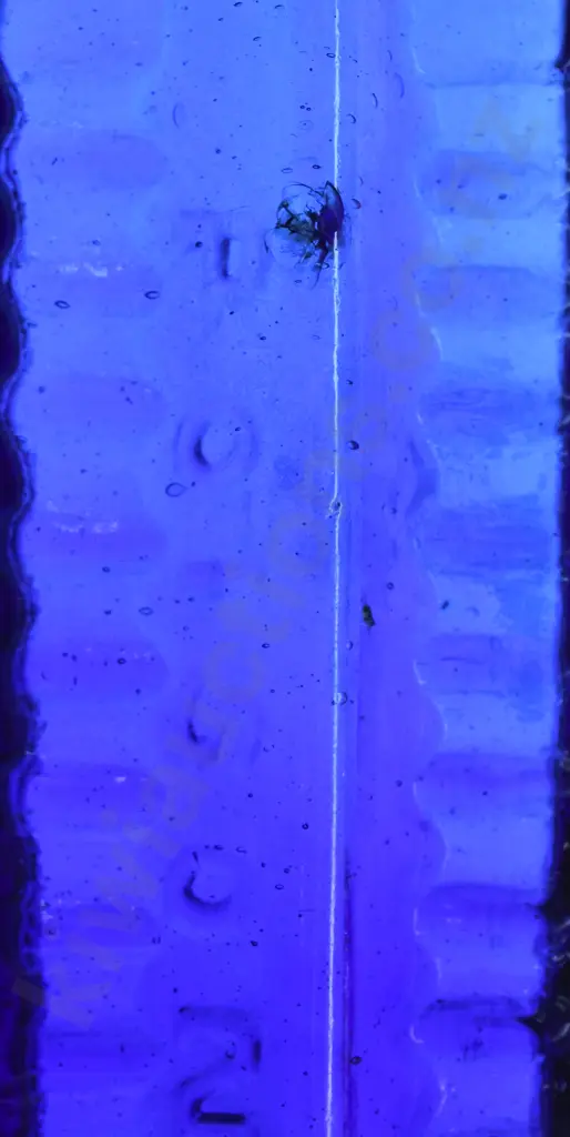 COBALT BLUE ETON STAR POISON Image 1++