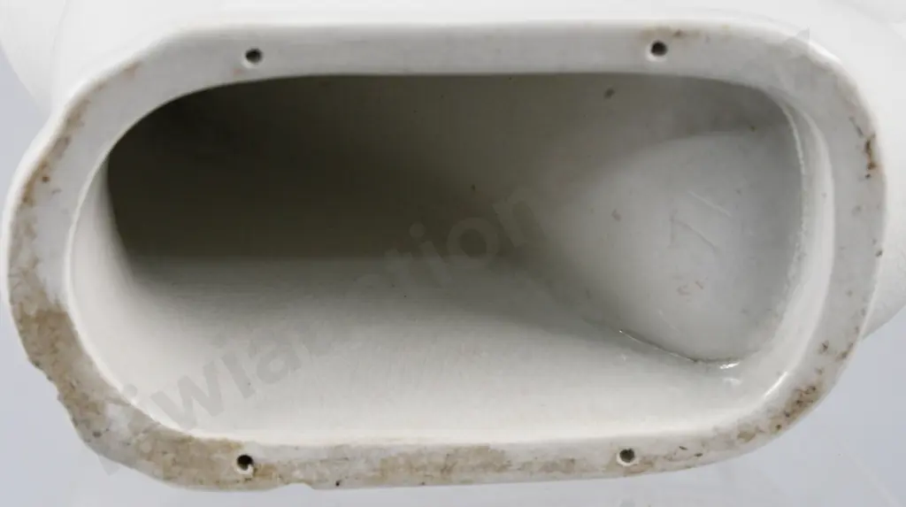 SAMPLE TOILET THE IVYLITE WASHDOWN Image 1++
