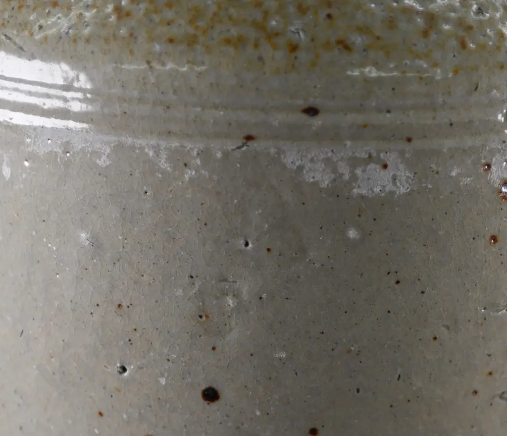 MEEHAN MAKIKIHI STONE JAR Image 1++