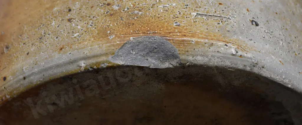 NEILSON VICKERS DUNEDIN STONE JAR Image 1++
