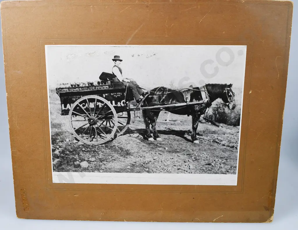 EARLY NZ AERATED WATER RELATED PICTURES Image 1++