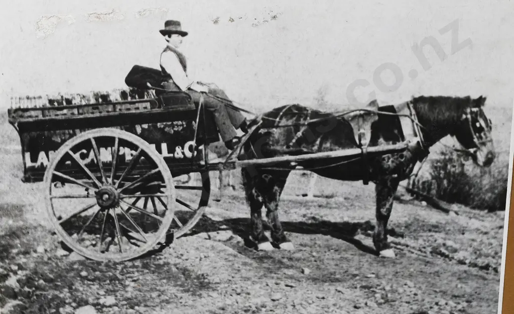 EARLY NZ AERATED WATER RELATED PICTURES Image 1++