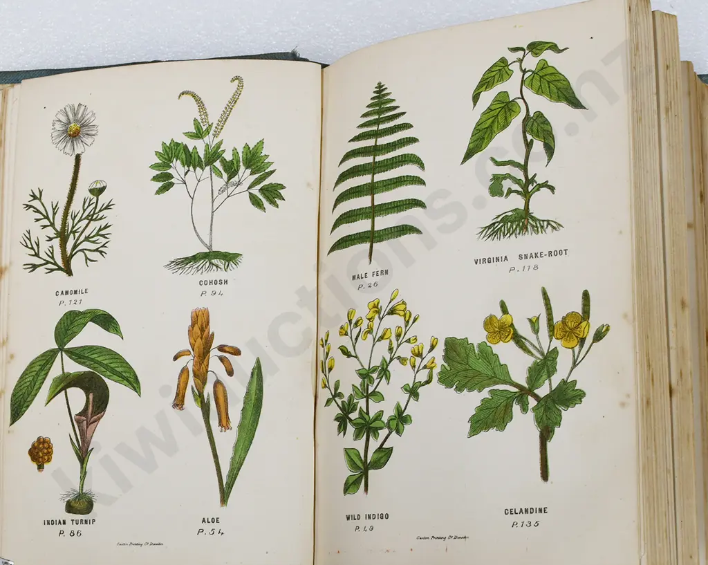 NEILS BOTANIC DISPENSARIES FAMILY HERB DOCTOR BOOK Image 1++