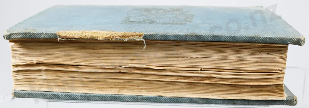NEILS BOTANIC DISPENSARIES FAMILY HERB DOCTOR BOOK Image 1++