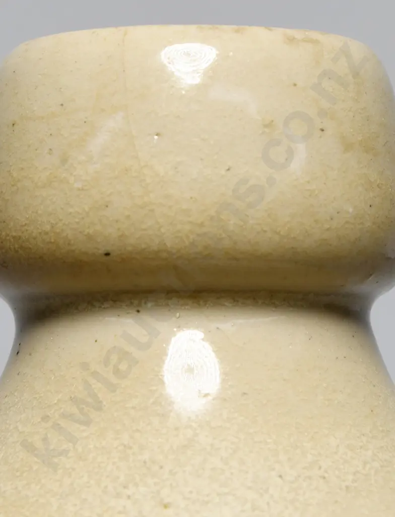 LEE TEMUKA GINGER BEER Image 1++
