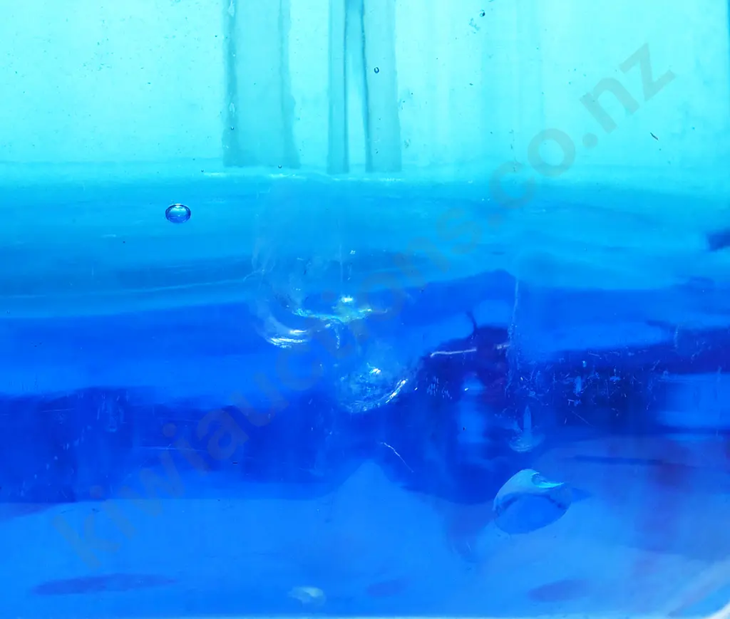 WRIGHT CHRISTCHURCH BLUE SYPHON Image 1++