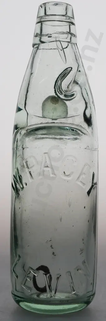 PACEY LEVIN CODD Image 1++