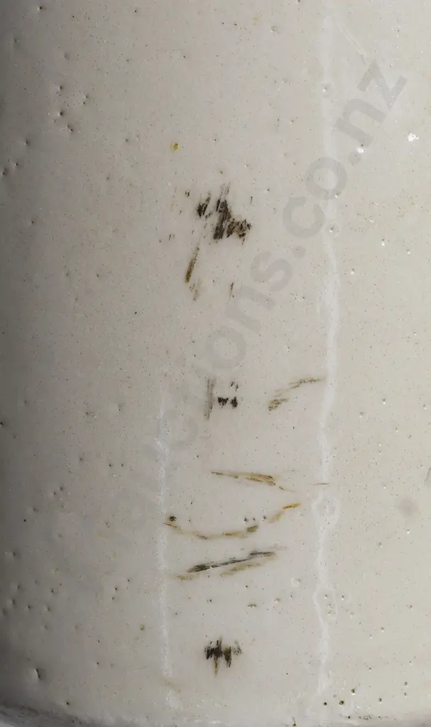 DIXON'S PALMERSTON NORTH GINGER BEER Image 1++