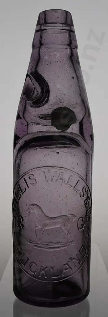 HOLLIS WALLS AUCKLAND CODD Image 1++
