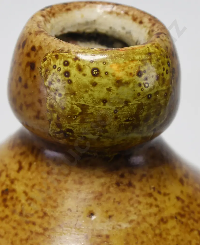 LUDECKE PAHIATUA GINGER BEER Image 1++
