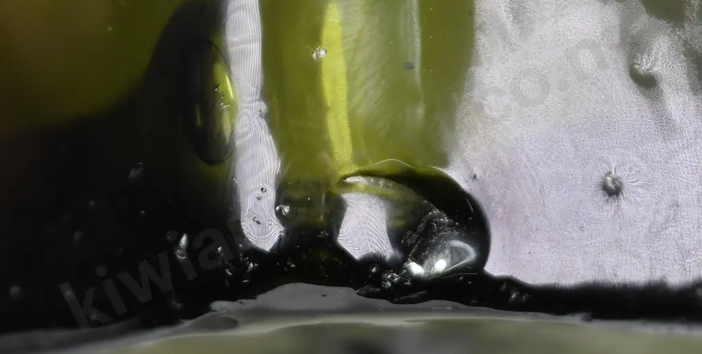 NOLET PEACOCK SEALED CASE GIN Image 1++