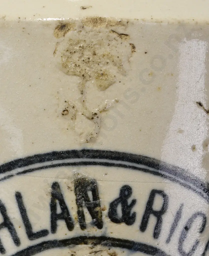 MCLACHLAN & RICHDALE HAWERA GINGER BEER Image 1++