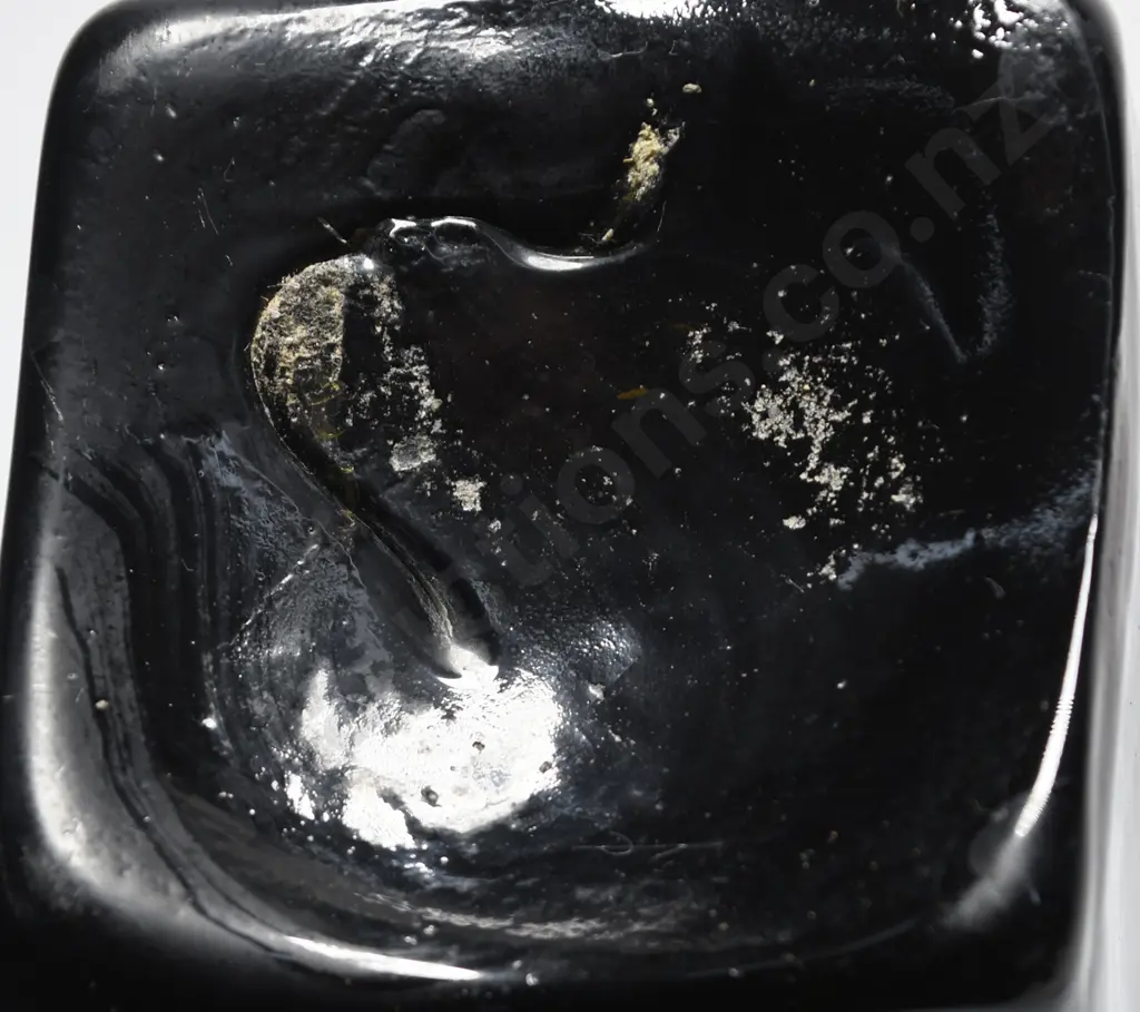 PIG SNOUT CASE GIN Image 1++