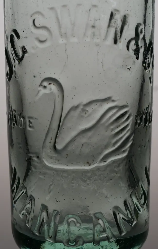 SWAN WANGANUI CODD Image 1++