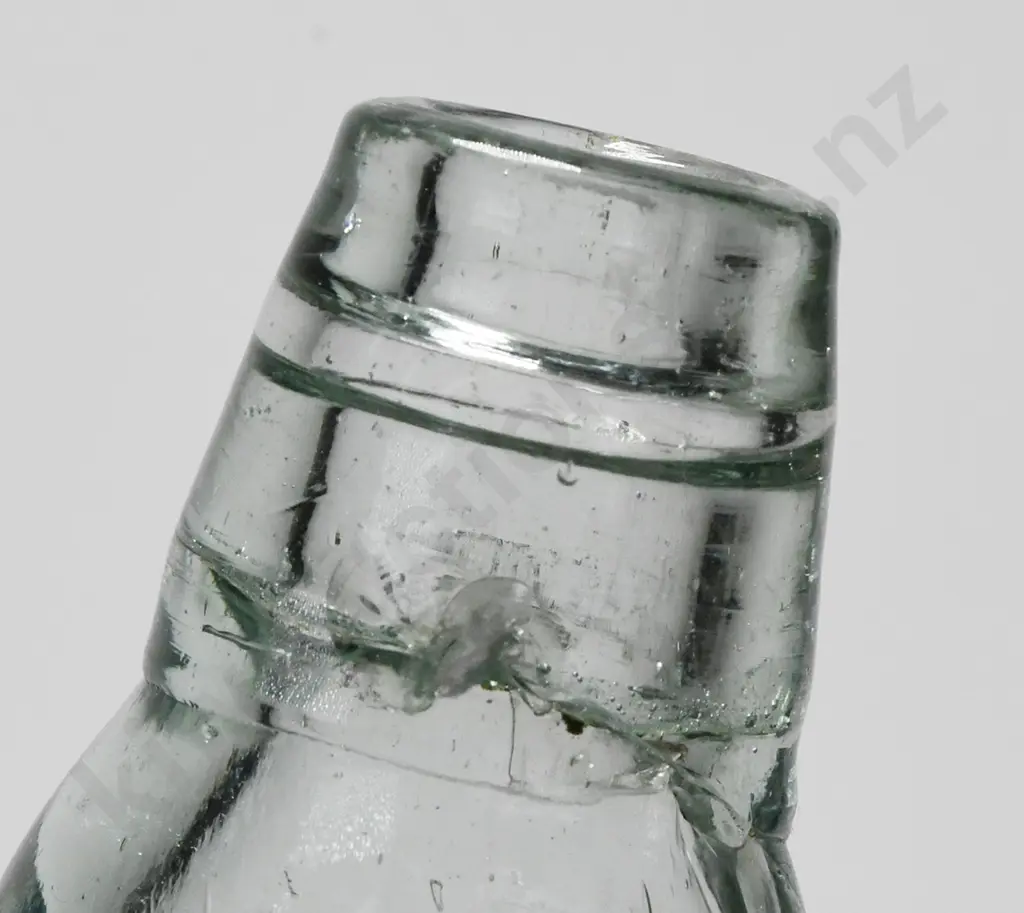 THOMSON DUNEDIN CODD Image 1++