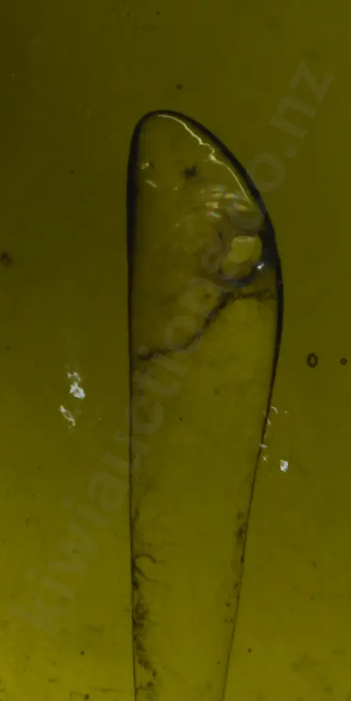 SAUNDERS WELLINGTON INTERNAL THREADS Image 1++