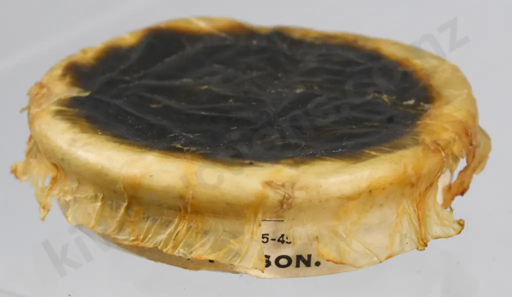 SINGLETON'S EYE OINTMENT BOXED AND COMPLETE Image 1++