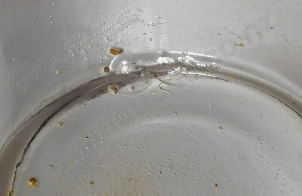 BABY FEEDER BOTTLES Image 1++