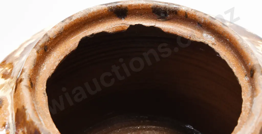 NZ POTTERIES WELLINGTON TEAPOT AND JUG Image 1++