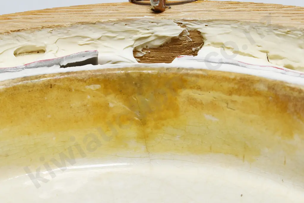 TRIA JUNCTA IN UNO PRATT POT LID Image 1++