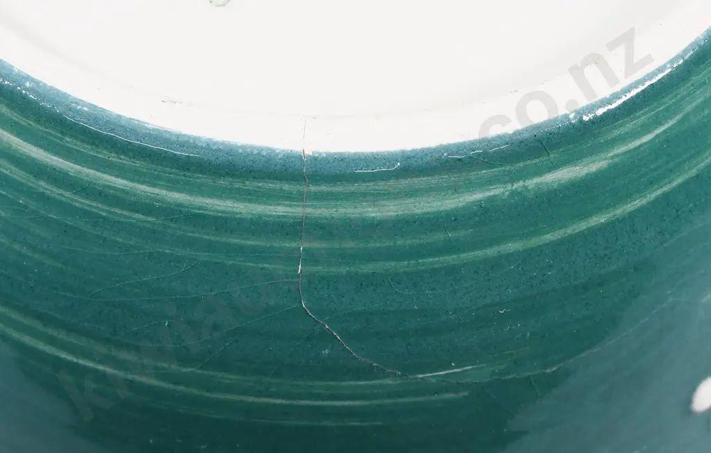 CROWN LYNN DANIEL STEENSTRA VASE Image 1++