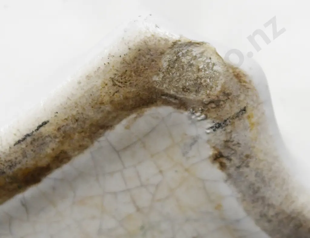 CROWN LYNN LARGE MALE SWAN Image 1++