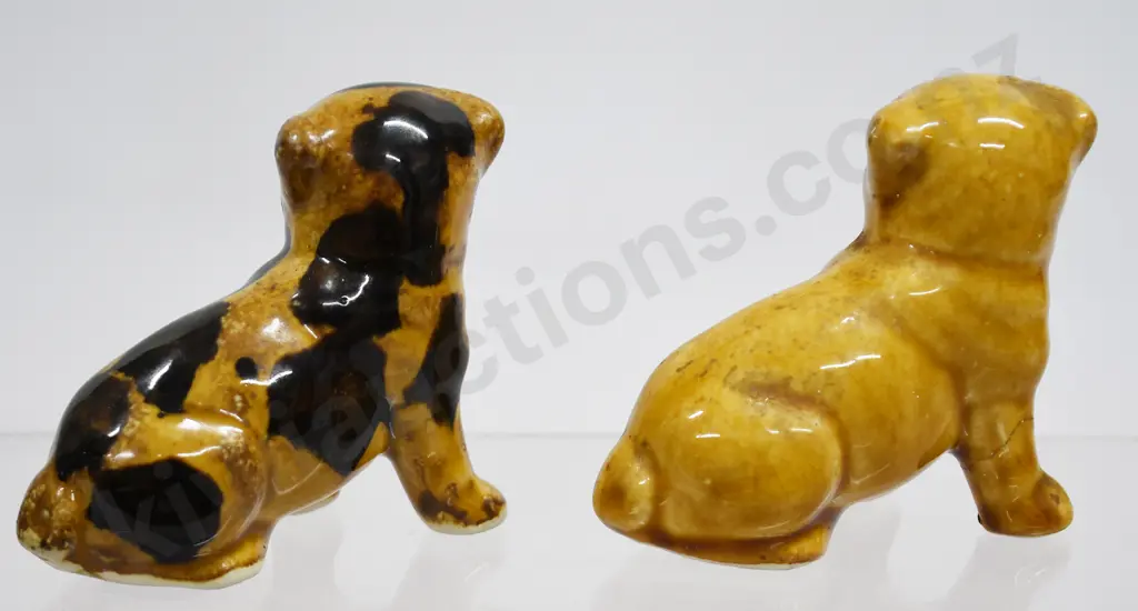 BENHAR DOGS Image 1++
