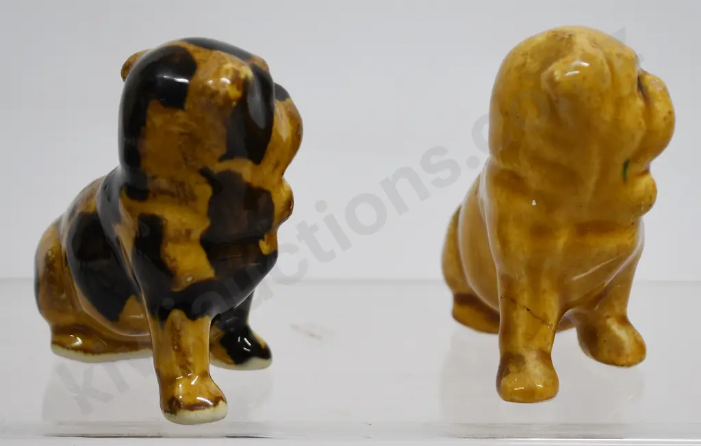 BENHAR DOGS Image 1++