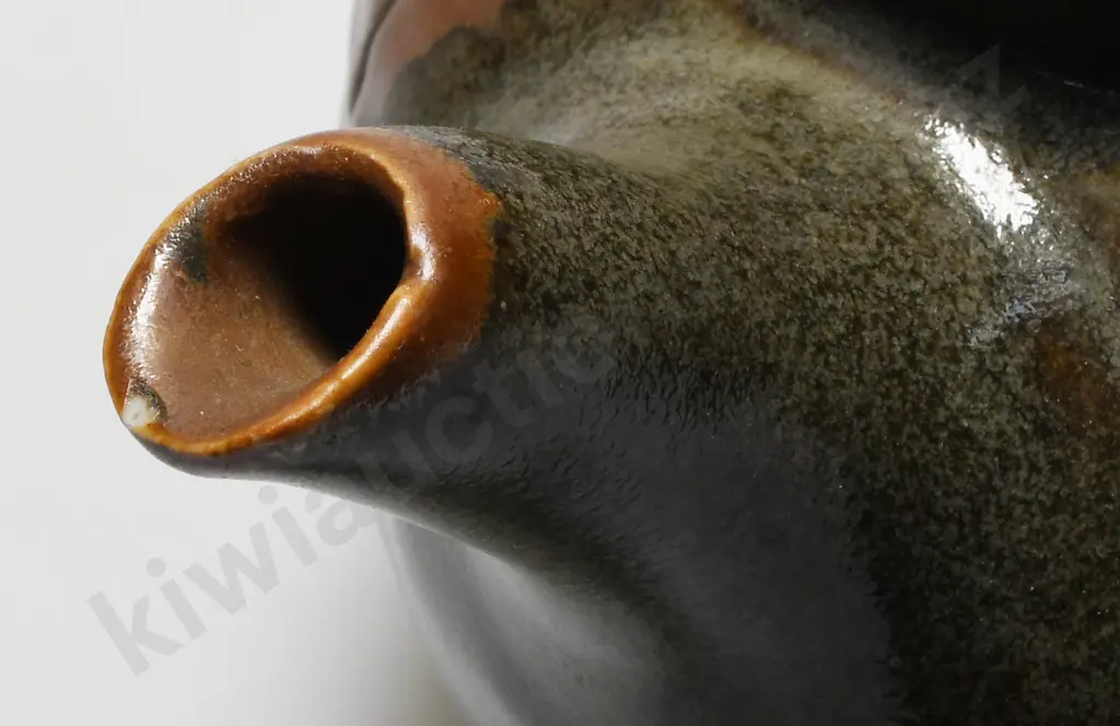 CREWENNA NZ POTTERY TEAPOT Image 1++