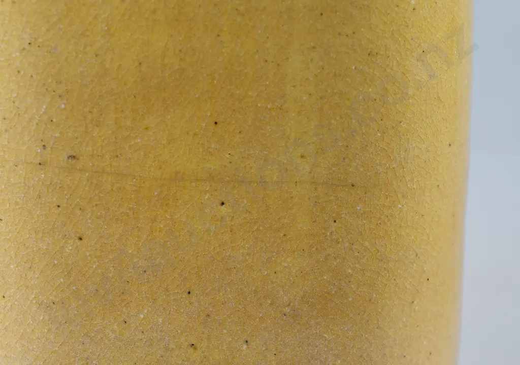 MILTON OTAGO POTTERIES EARLY HOT WATER BOTTLE Image 1++