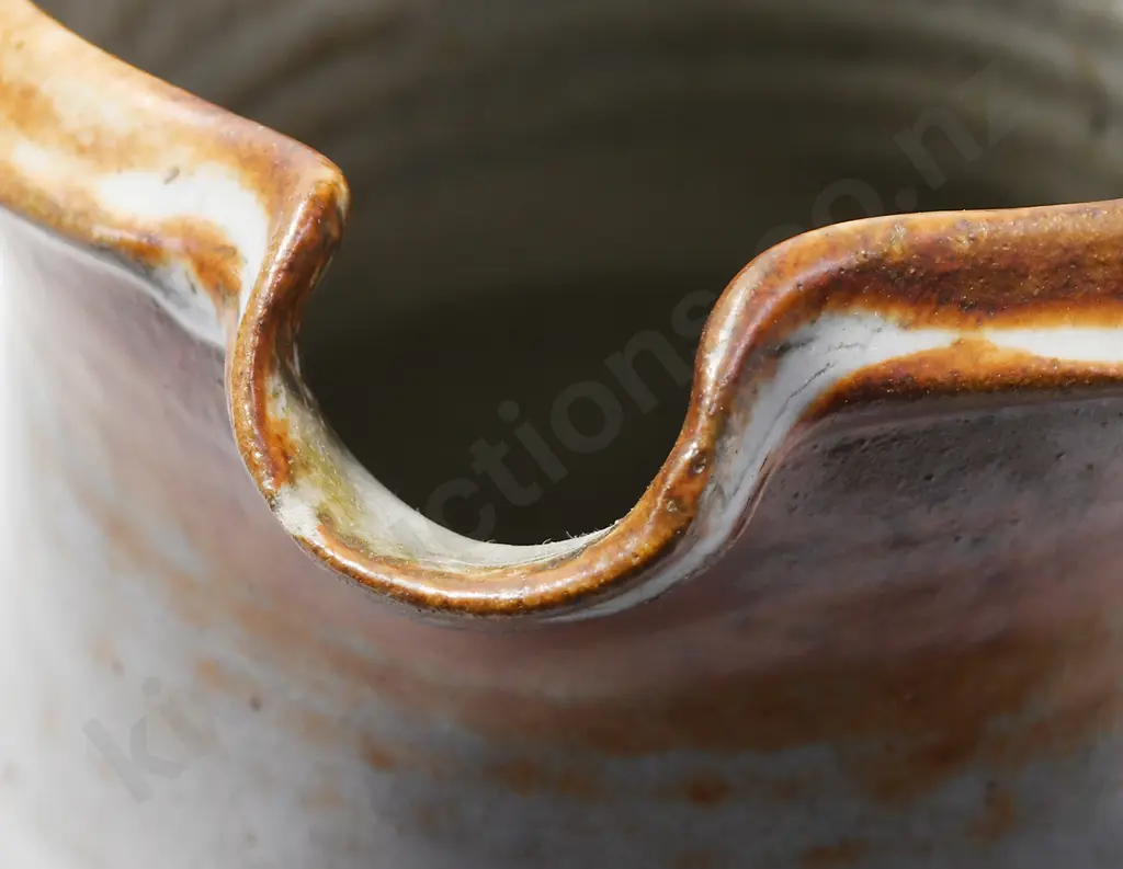 LEN CASTLE SHINO JUG Image 1++