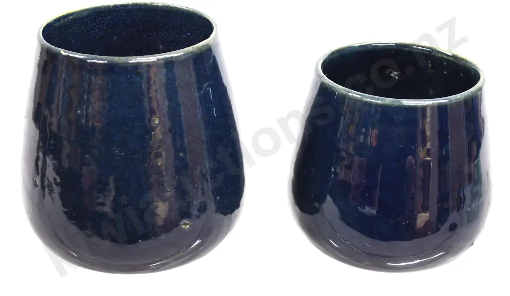 LUKE ADAMS DARK BLUE VASES Image 1++