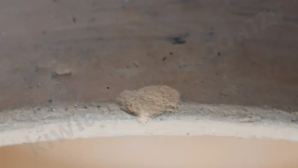 LUKE ADAMS COVERED CHEESE STORAGE Image 1++