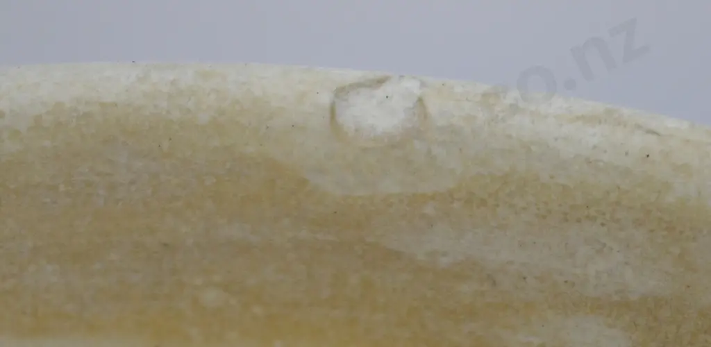 CROWN LYNN FISH SCALE FLOWER POT Image 1++