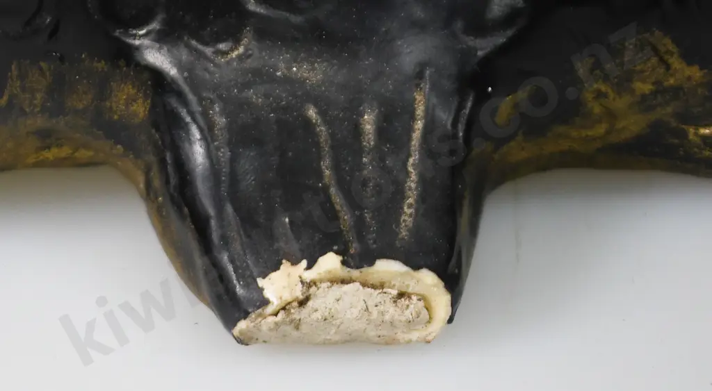 MOLLE’ POTTERY FISH WALL POCKET Image 1++