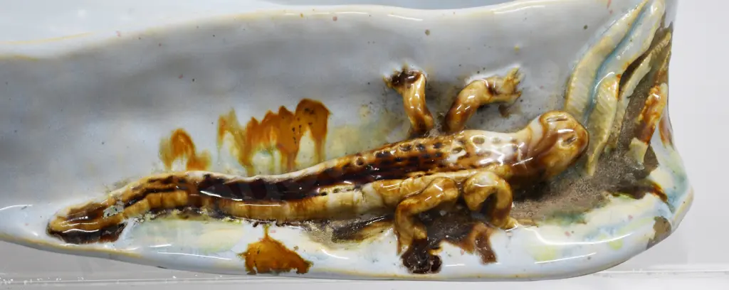 MOLLE’ POTTERY LIZARD TROUGH POSY VASE Image 1++