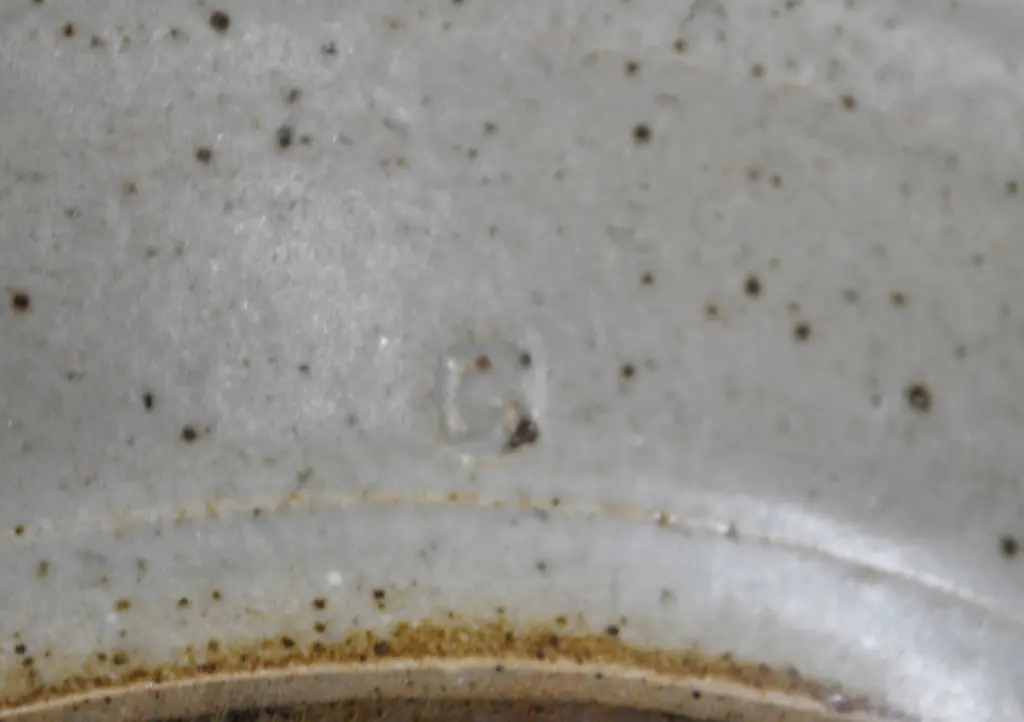 NEIL GRANT EXTRA LARGE PLATE Image 1++